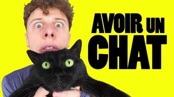 Owning a Cat