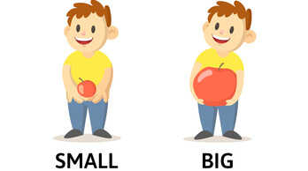 Beginner Adjectives 1